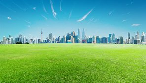 Green grass and downtown