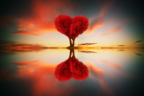 Abstract image of lonely red color leaf and love shape tree at sunset scene with reflection in water.