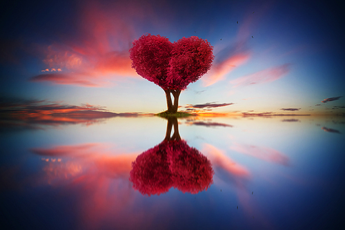 Abstract image of lonely red color leaf and love shape tree at sunrise scene with reflection in water.