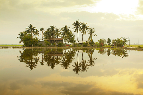 Reflection of native houses on water and the sky at Sekinchan, Selangor, Malaysia .