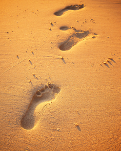 Close up of footprints on the beach sand at the golden hour.
