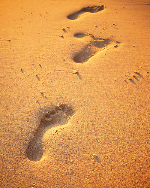Close up of footprints on the beach sand at the golden hour.