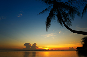 Golden dawn over the beach with silhouette coconut palm tree .Rawa island , Malaysia . Selected focus on center .