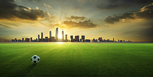 Soccer ball on grass field with city background. 3d rendering