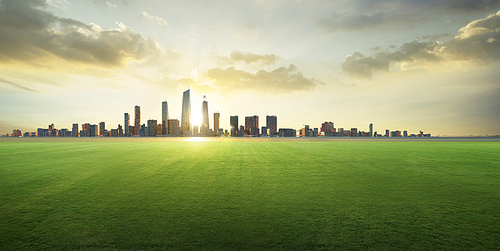 Grass field with city background. 3d rendering