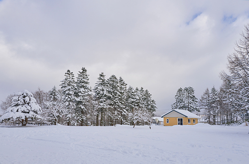 Snow fields with house on cloudy day. Frosty morning in Hokkaido, Japan.