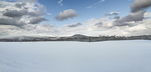 Panoramic view of snow fields with beautiful winter landscape