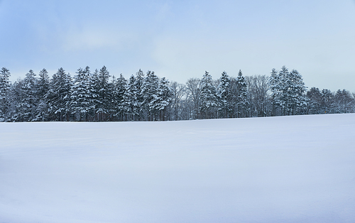 Panoramic view of snow fields with beautiful winter landscape