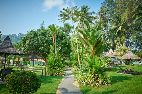 Garden view of Penang famous Bayview Hotel. One of the popular hotels in Penang