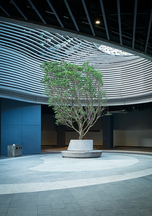 A green of nature surviving inside the concrete city