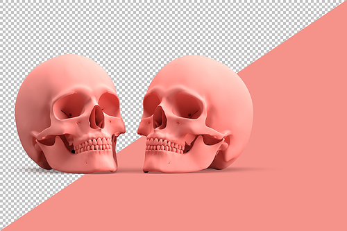 Minimalistic illustration of pair of human skull on pink background