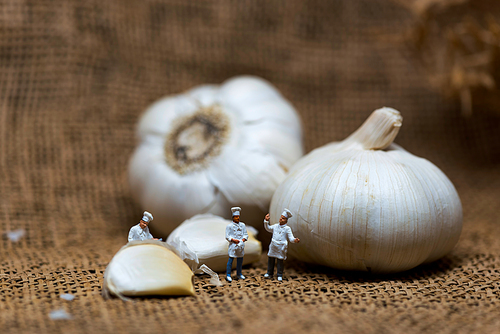 Cooking process concept. Miniature cooks with garlic bulb. Color tone tuned. Macro photo