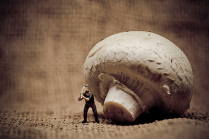 Miniature lumberjack cutting mushroom with axe. Macro photo