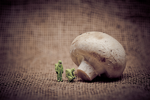Group of people in protective suit inspecting a mushroom. Genetically modified food concept. Toned image