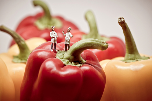 Two chefs debating over bell peppers. Macro photo.