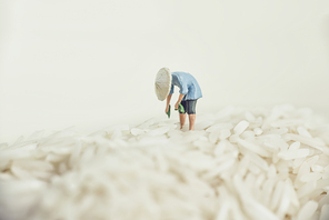 Asian farmer harvesting rice.