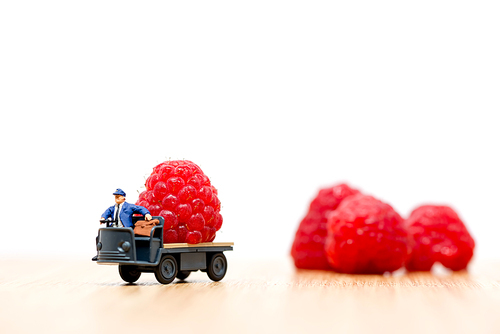 Farmer carrying raspberries.