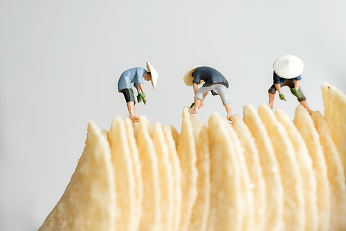 Miniature asian farmers preparing potato chips