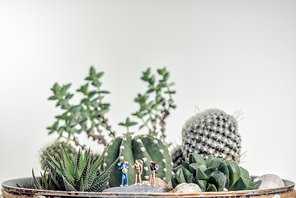 Miniature hikers along desert landscape.