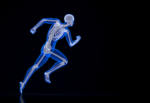 Running skeleton. Contains clipping path.