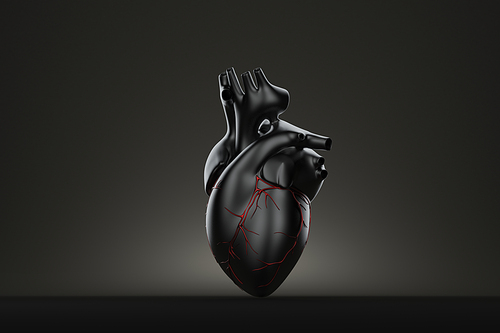 Dark human heart. 3D illustration. Contains clipping path