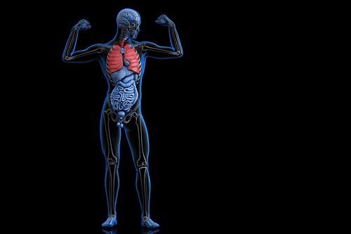 Athlete with with highlighted red lungs on dark blue background. 3D illustration. Contains clipping path