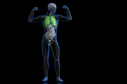 Athlete with healthy green coloured lungs. 3D illustration. Contains clipping path