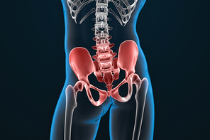 3d illustration of the painful sacrum and pelvis