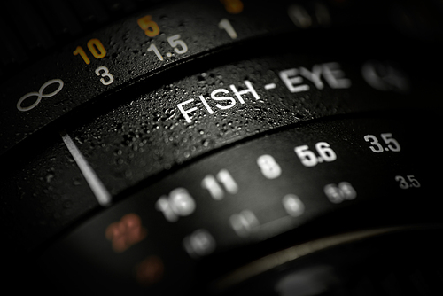 Close-up of DSLR fishe-eye lens