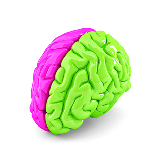 Creative brain concept. Isolated. Contains clipping path