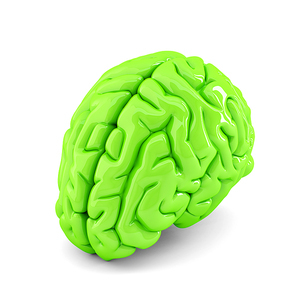 Green human brain. 3D illustration. Isolated. Contains clipping path