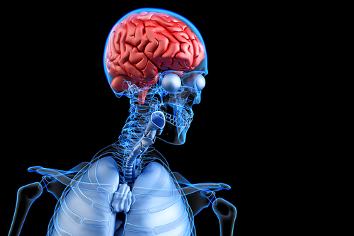 Diseased human brain. Anatomy concpet. 3D illustration