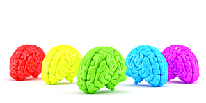 Colored human brains. Creative concept. 3D illustration. Isolated. Contains clipping path