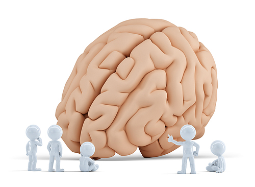 Little people arond giant brain. Isolated. Contains clipping path