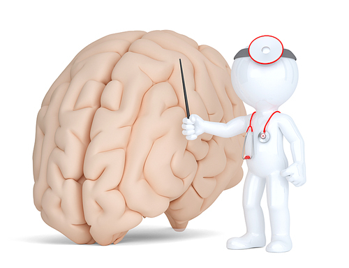 Doctor pointingat human brain. Medical illustration. Isolated. Contains clippin path.