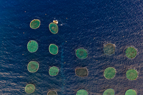 Overhead view of fish farms on the sea