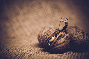 Miniature worker with a crowbar trying to open a walnut. Color tone tuned macro photo