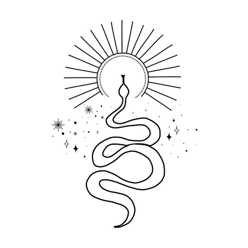 Alchemy esoteric mystical magic celestial talisman with snake, sun, stars sacred geometry isolated. Spiritual occultism object. Vector illustrations in black outline style