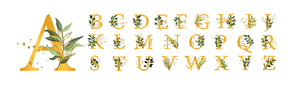 Golden floral alphabet font uppercase letters with flowers leaves and gold splatters isolated on white . Vector illustration for wedding, greeting cards, invitations template design