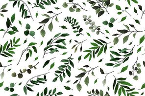 Seamless pattern with greenery leaves branch twig flora plants for floral watercolor wedding card, wallpaper, botanical foliage. Vector elegant  herbal spring background
