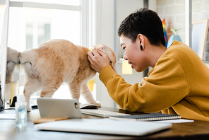 Young Asian tomboy woman in casual attire touching her cat affectionately during work from home in living room
