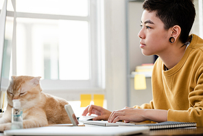 Young Asian tomboy typing on computer keyboard with lovely cat lying on the table, working from home in the time of pandemic concepts