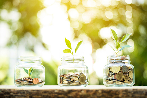 Young plant growing in the glass jars that have money (coins) - savings and investment concept
