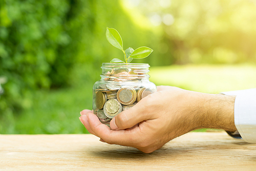 Plant growing from money (coins) in the glass jar held by a man - business and financial metaphor