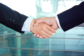 Handshake of businessmen - success, congratulation, greeting & business partner concepts