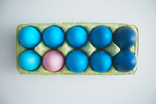 Above view of blue Easter eggs in crate with pastel pink accent arranged in minimal composition on white background, copy space