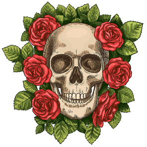 skull and roses. dead skeleton head and red flowers, hand drawn gothic  graphic. vintage scary halloween death sketch vector symbol. colorful blossom and green foliage around head