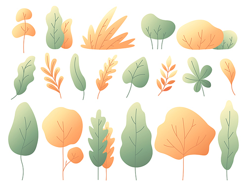 Simple colorful autumn leaves. Autumnal trees and bushes floral plants. Minimalistic yellow leaf maple forest oak and rowan tree fall icon flat botanical vector isolated set