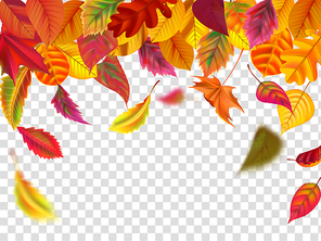 leaves fall. falling blurred leaf, autumnal foliage fall and wind rises yellow leaves. leaf decoration frame, september botanical header birch or october border isolated vector illustration