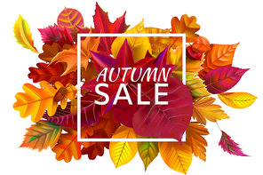 Fall sale banner. Autumn season sales, autumnal discount and fallen leaves banners frame. October purchase advertising discounts, foliage fall school shopping advertising vector illustration
